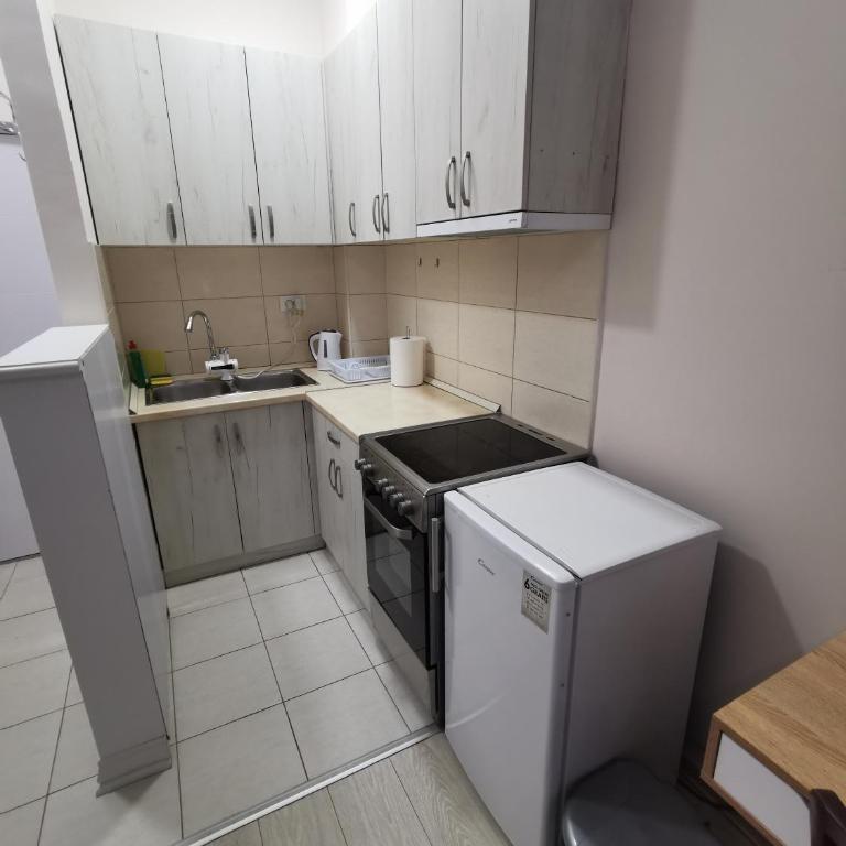 Apartman Banjski snovi - Banja Koviljača - Superior Apartman sa Balkonom - 7