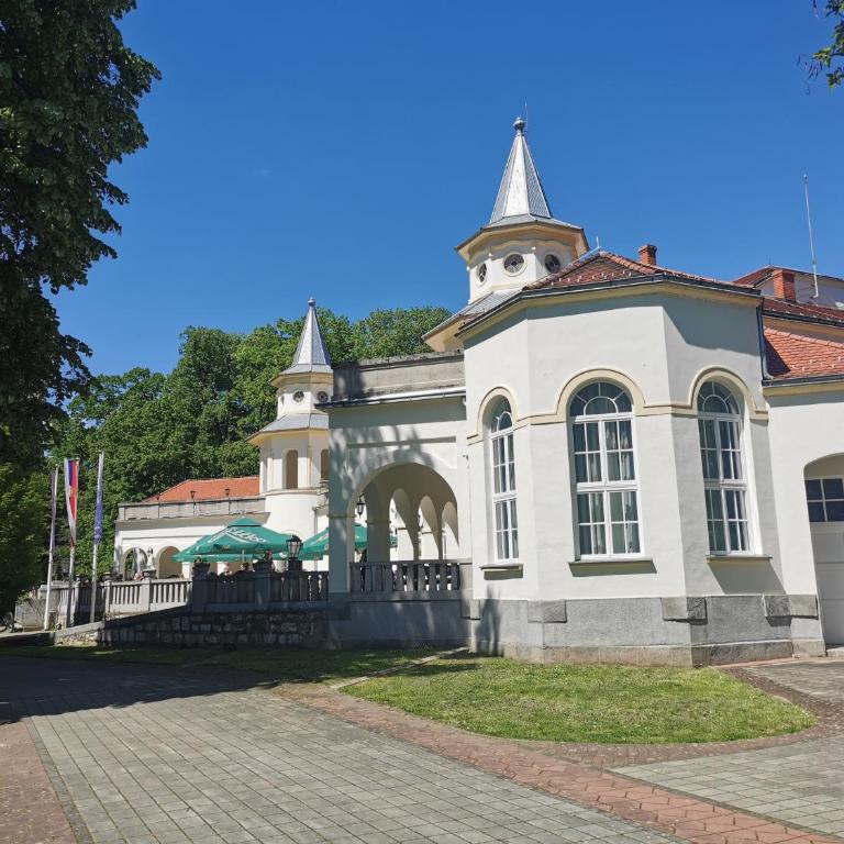 Apartman Banjski snovi - Banja Koviljača - Superior Apartman sa Balkonom - 10
