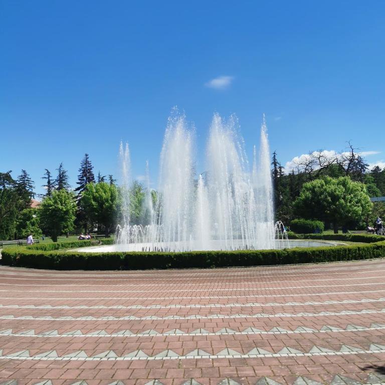 Apartman Banjski snovi - Banja Koviljača - Superior Apartman sa Balkonom - 16
