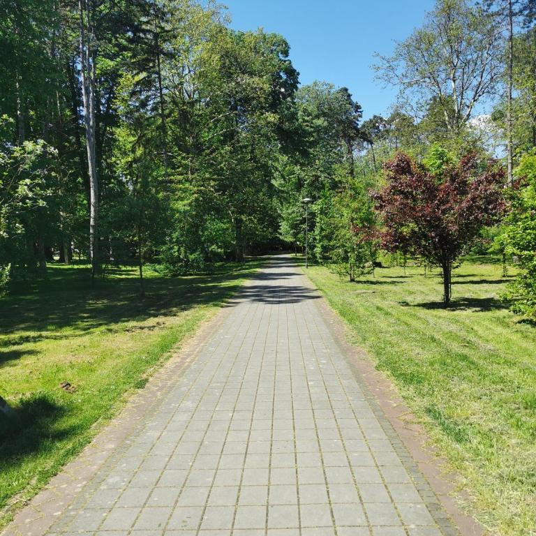 Apartman Banjski snovi - Banja Koviljača - Superior Apartman sa Balkonom - 20