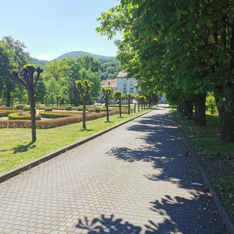 Apartman Banjski snovi - Banja Koviljača - Superior Apartman sa Balkonom - 25