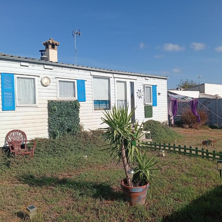 Vacaciones en Novo Sancti Petri - Casa a Schiera con 2 Camere da Letto - 3
