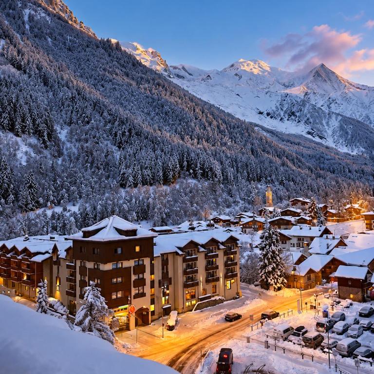 Appartement 4 pax proche des pistes Résidence Le Chamois - Chamonix - Appartement 1 Chambre - 11