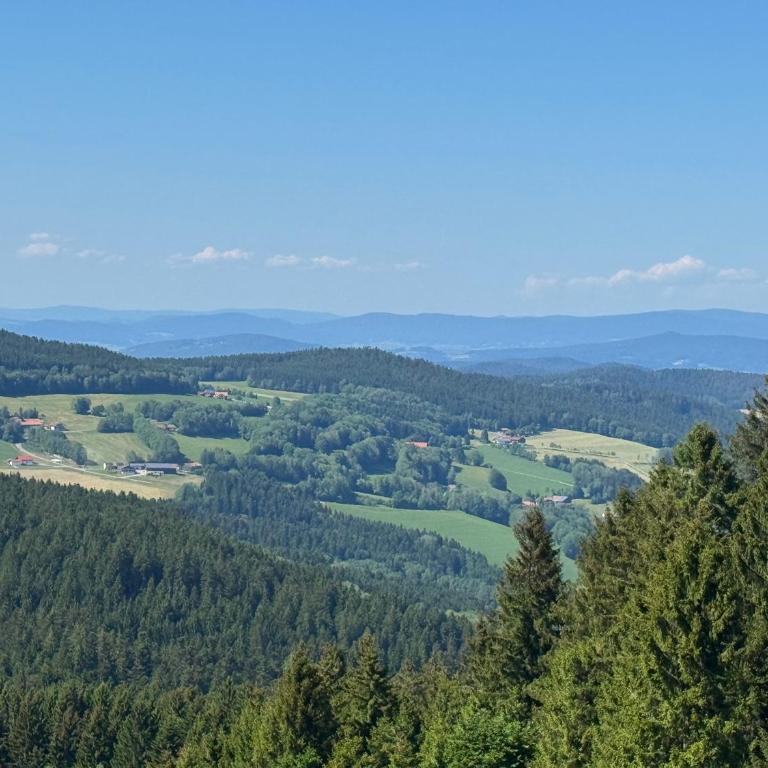 Ferienwohnung Harmonia inklusive Hallenbad, Außenpool, Sauna & Fitnessstudio, familienfreundlich ausgestattet, großes 2-Zimmer-Apartment - Apartment mit 2 Schlafzimmern - 51