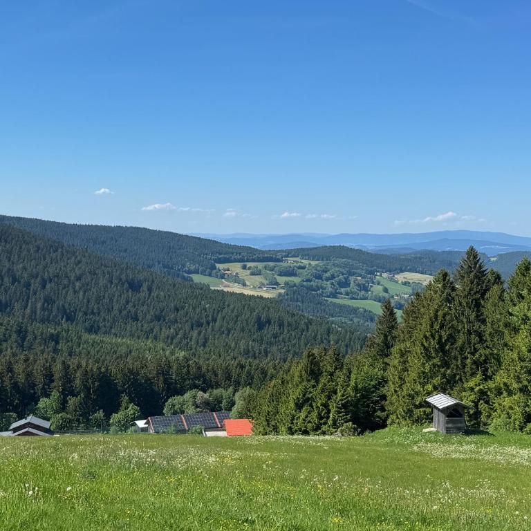 Ferienwohnung Harmonia inklusive Hallenbad, Außenpool, Sauna & Fitnessstudio, familienfreundlich ausgestattet, großes 2-Zimmer-Apartment - Apartment mit 2 Schlafzimmern - 52