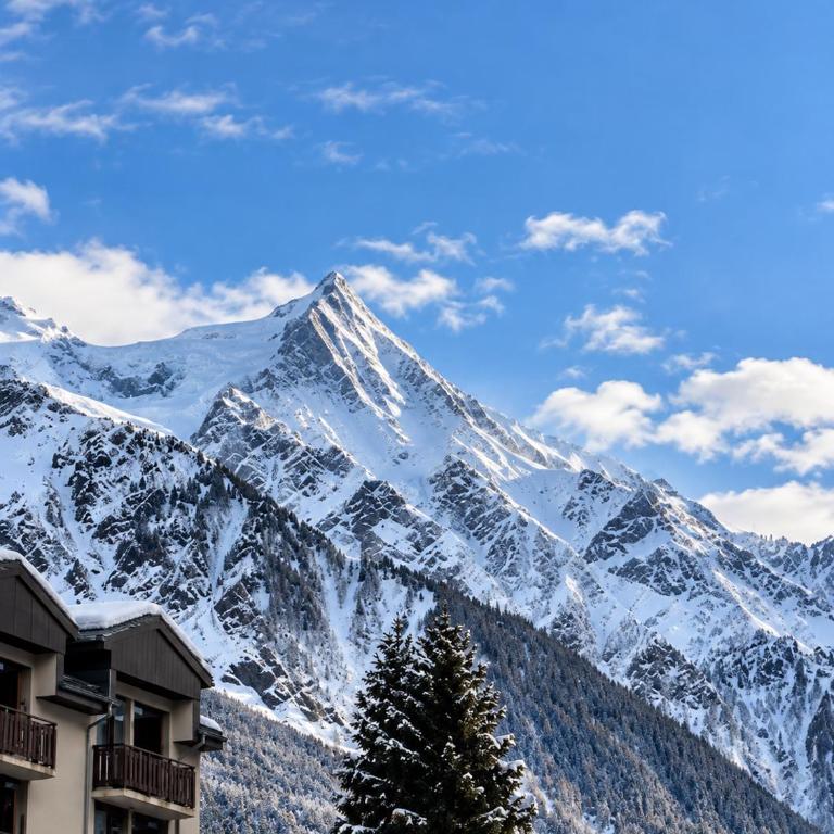 Appartement 4 pax proche des pistes Résidence Le Chamois - Chamonix - Appartement 1 Chambre - 9