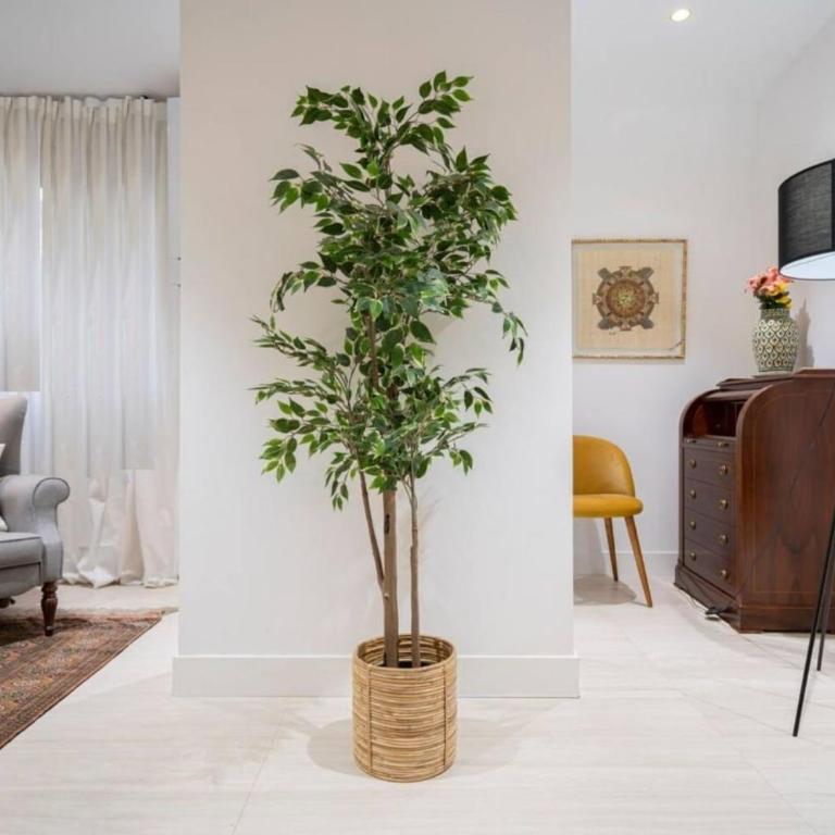 Charmante Familienwohnung für eine erholsame Auszeit - Appartamento Deluxe - 21
