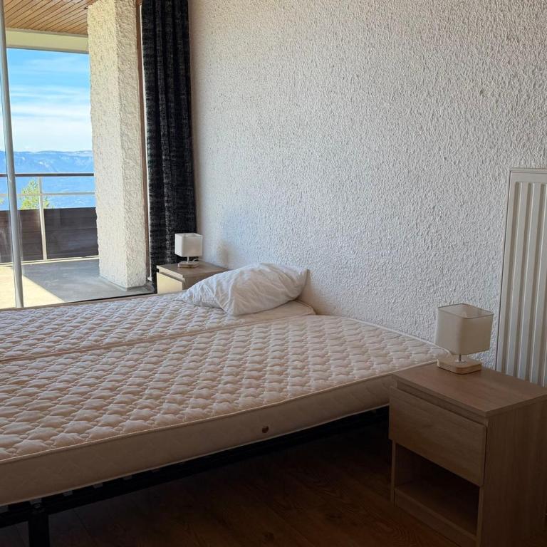 Appartement spacieux 3 pièces, au pied des pistes, accepte animaux - Apartment mit 2 Schlafzimmern - 24
