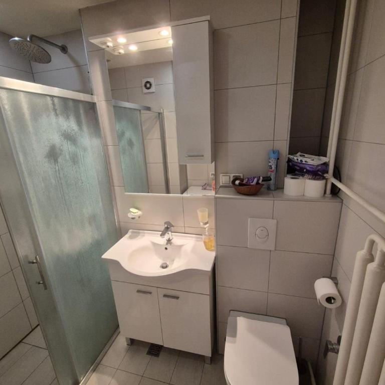 Riverside Apartment by Vilsonovo Promenade - Apartman sa 1 Spavaćom Sobom - 7