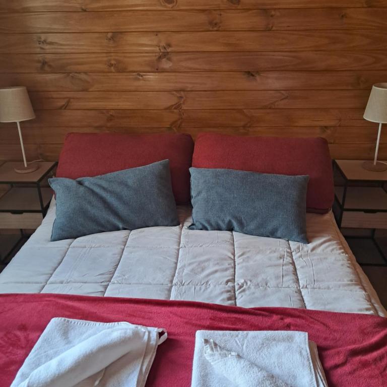 RIO-ABAJO Cabañas frente al RIO MELIQUINA - Chalet de 1 dormitorio - 20