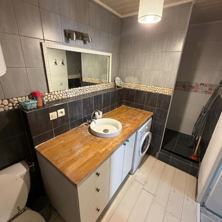 Chez Lucas I Studio I Aix Les Bains - Appartement 1 Chambre - 11