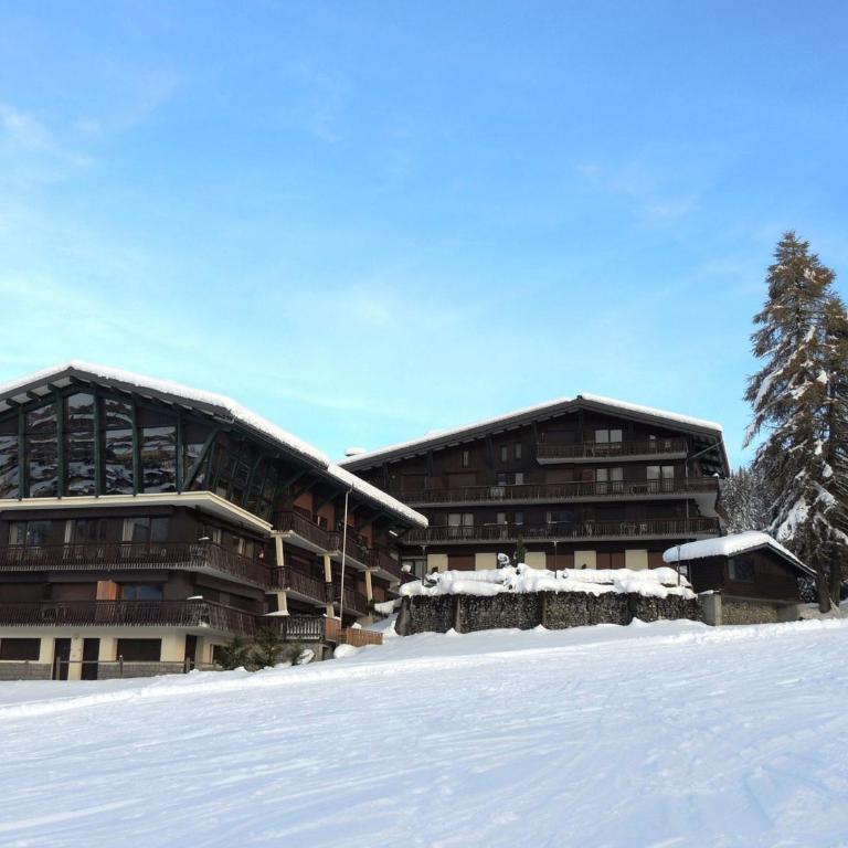 Appartement skis aux pieds, rénové, 2 ch., Les Gets - Appartement 2 Chambres - 16