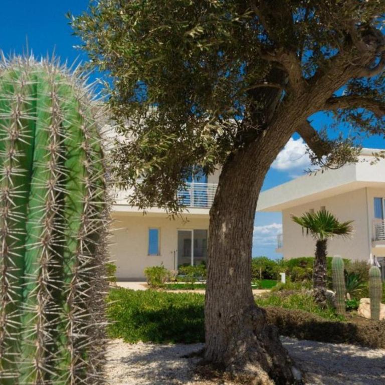 Salvia de osei Marzamemi Apartment - Appartamento con 1 Camera da Letto - 33
