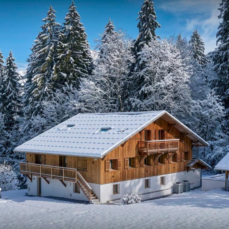 Chalet Madeleine - OVO Network - Chalet - 4