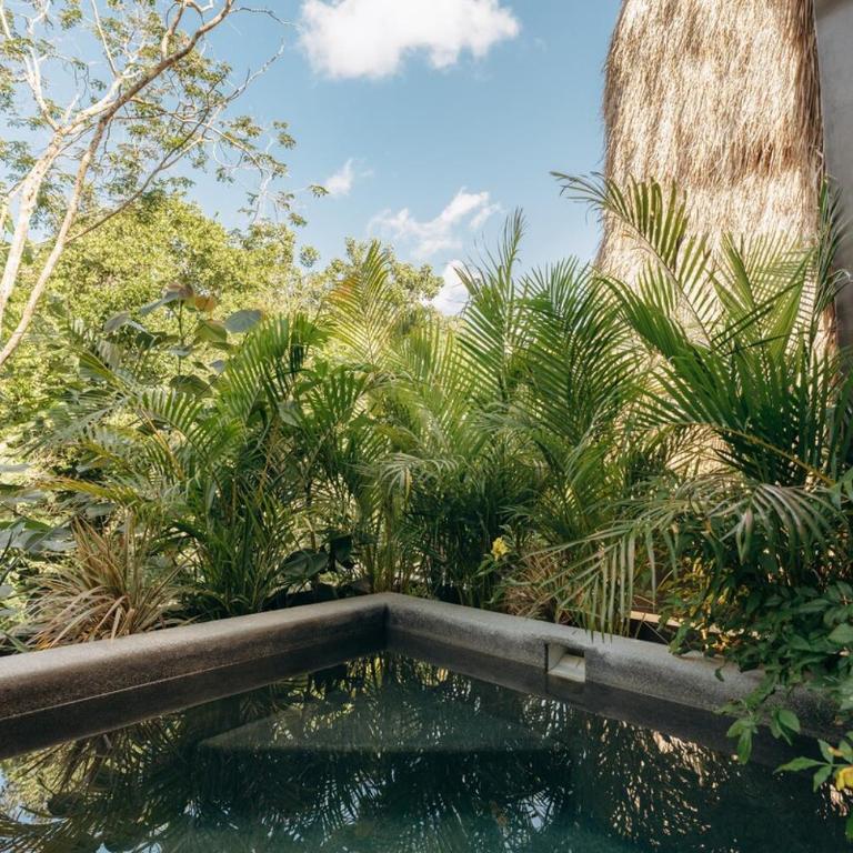 La Veleta Penthouse, Private pool Rooftop Tub - Apartment mit 2 Schlafzimmern - 15