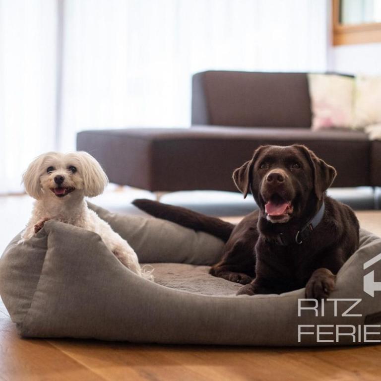 Vieux Valais B DG Ost - Apartment - 12