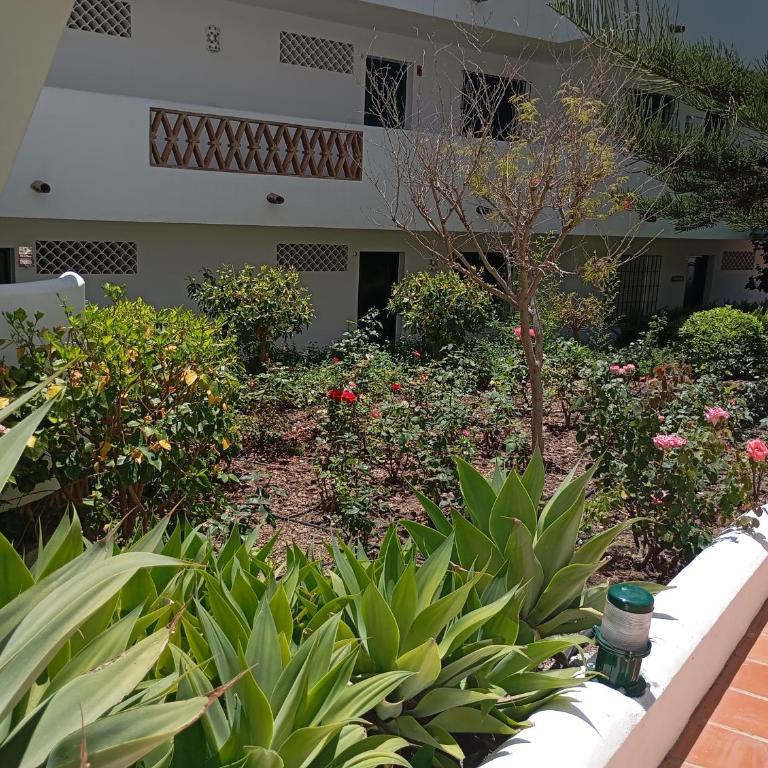 Pool-View Apartment with Terrace & Lift in Pueblo del Parque - Apartamento de 1 dormitorio - 28