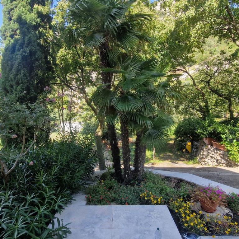 Airone-Garda lake panorama - Appartamento con 1 Camera da Letto - 43