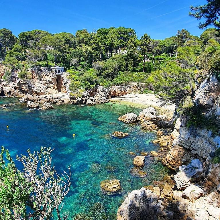 Sunny Balcony Apartment in Vallauris Near Cannes & Antibes - Appartement 1 Chambre - 15