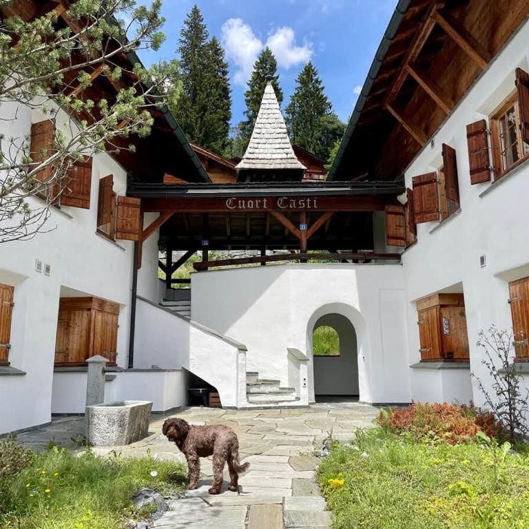 Cosy apartment, private garden with mountain views - Apartment - 12