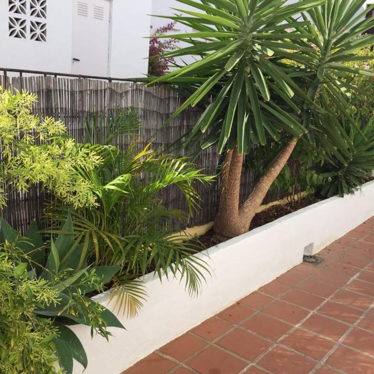Apartamento a 5 min de Puerto Banus - Apartamento de 1 dormitorio con vistas al jardín - 31