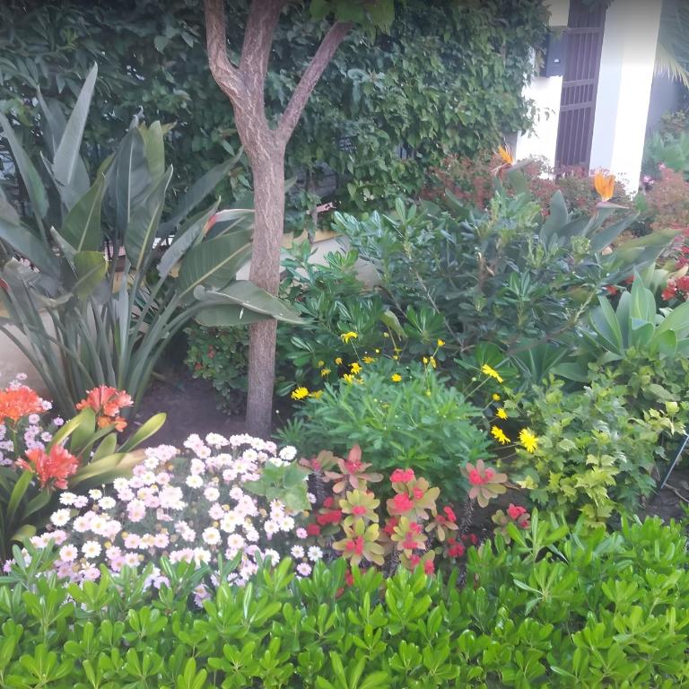 Apartamento a 5 min de Puerto Banus - Apartamento de 1 dormitorio con vistas al jardín - 32