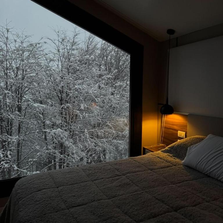 Cabin connected to nature - Eco lodge - Chalet de 2 dormitorios - 2