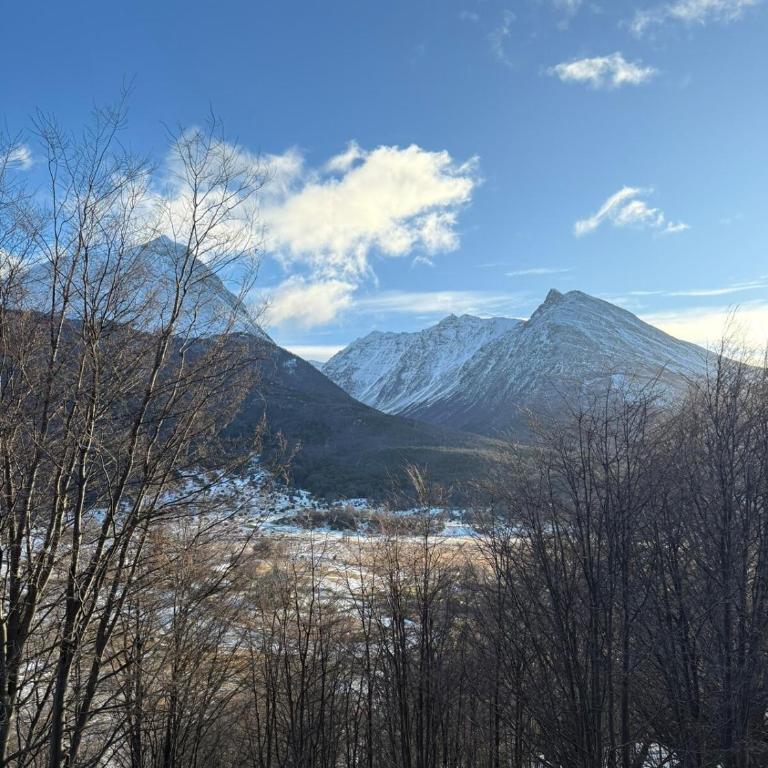 Cabin connected to nature - Eco lodge - Chalet de 2 dormitorios - 25