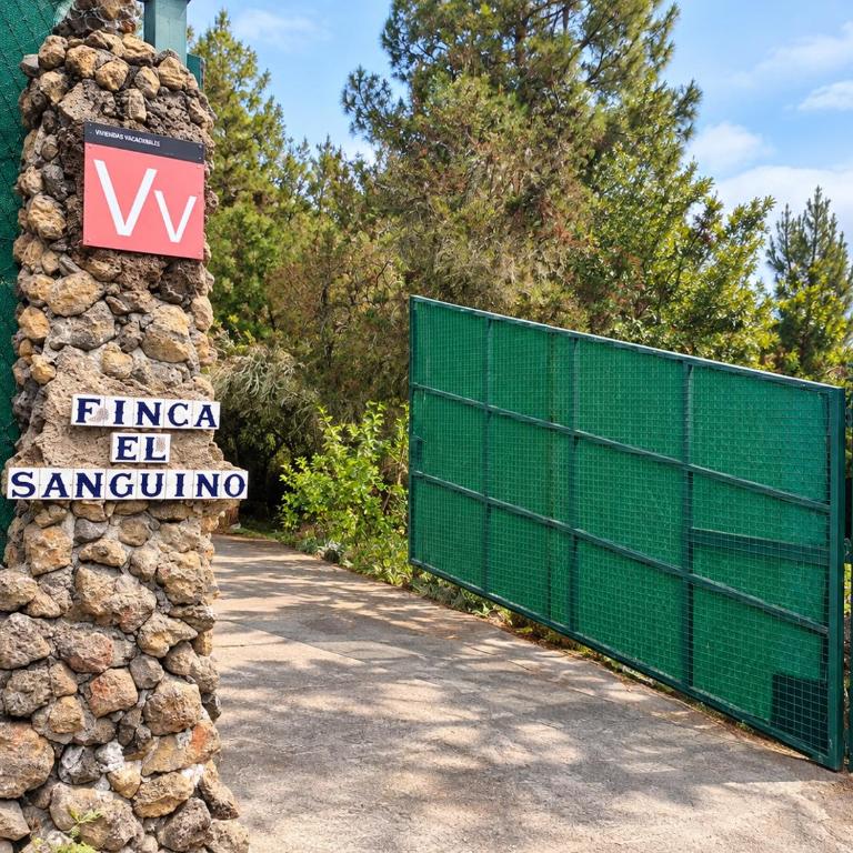 Finca El Sanguino - Casa - 48