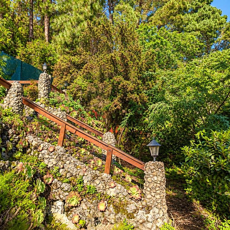 Finca El Sanguino - Casa - 49