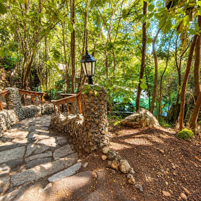 Finca El Sanguino - Casa - 50