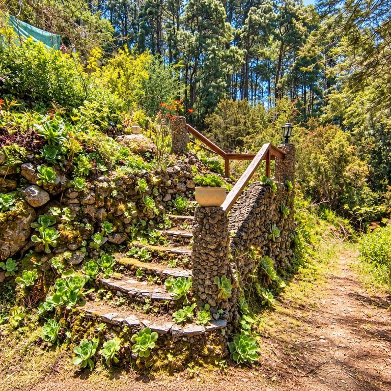 Finca El Sanguino - Casa - 52