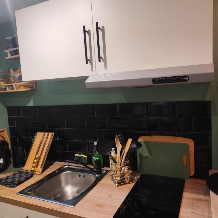 Le SPA de Senard - Appartement 1 Chambre - 29