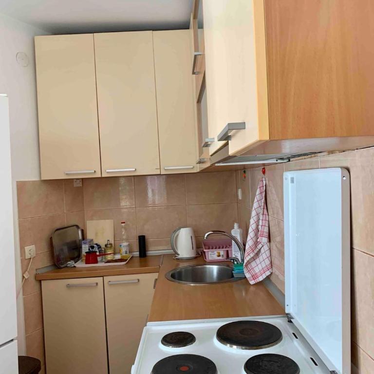 Casa Zemun - Apartman sa 2 Spavaće Sobe - 9