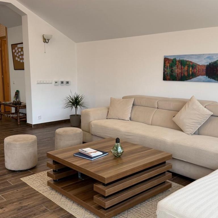Sarajevo City Hills - Free parking space - Apartman sa 3 Spavaće Sobe - 1