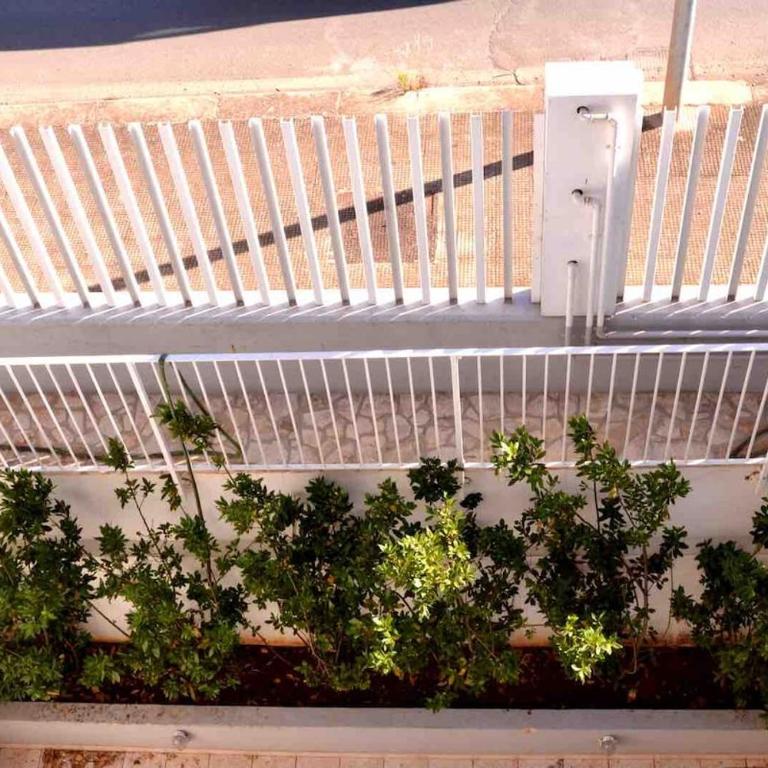Villa Bianca in Ostuni and Fasano - Villa - 22