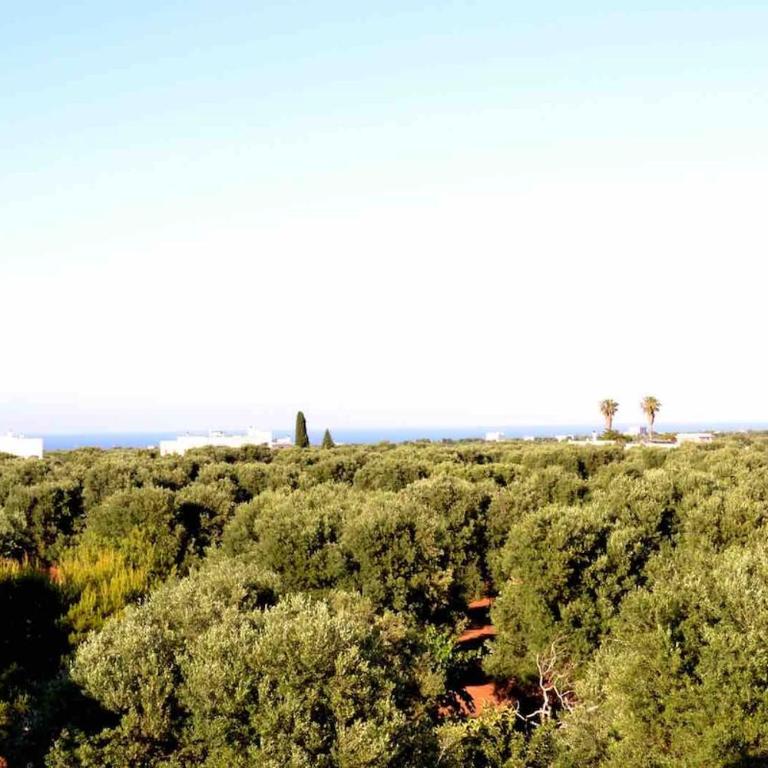 Villa Bianca in Ostuni and Fasano - Villa - 70