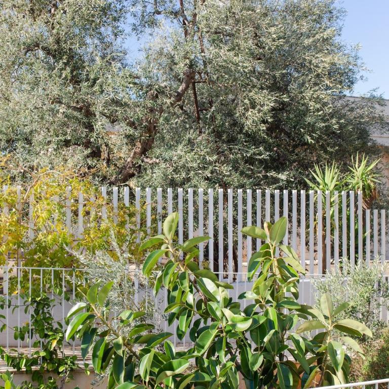 Villa Bianca in Ostuni and Fasano - Villa - 73