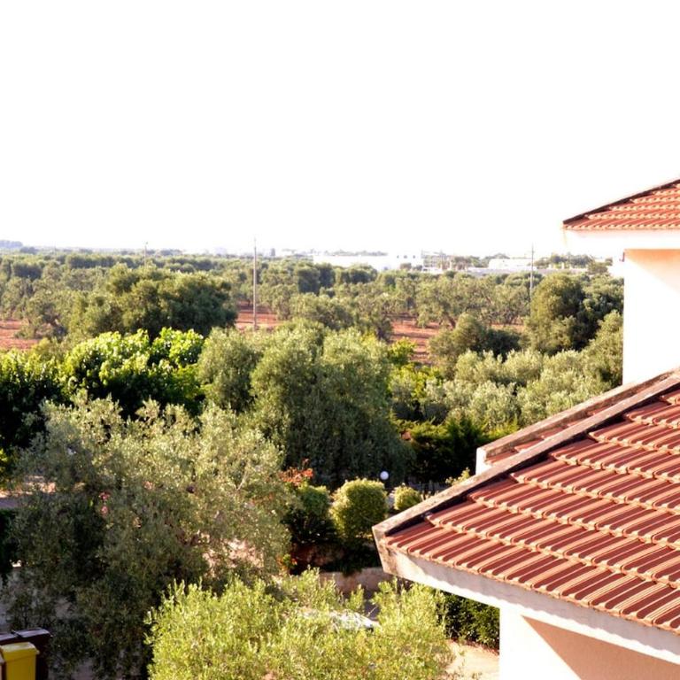 Villa Bianca in Ostuni and Fasano - Villa - 99