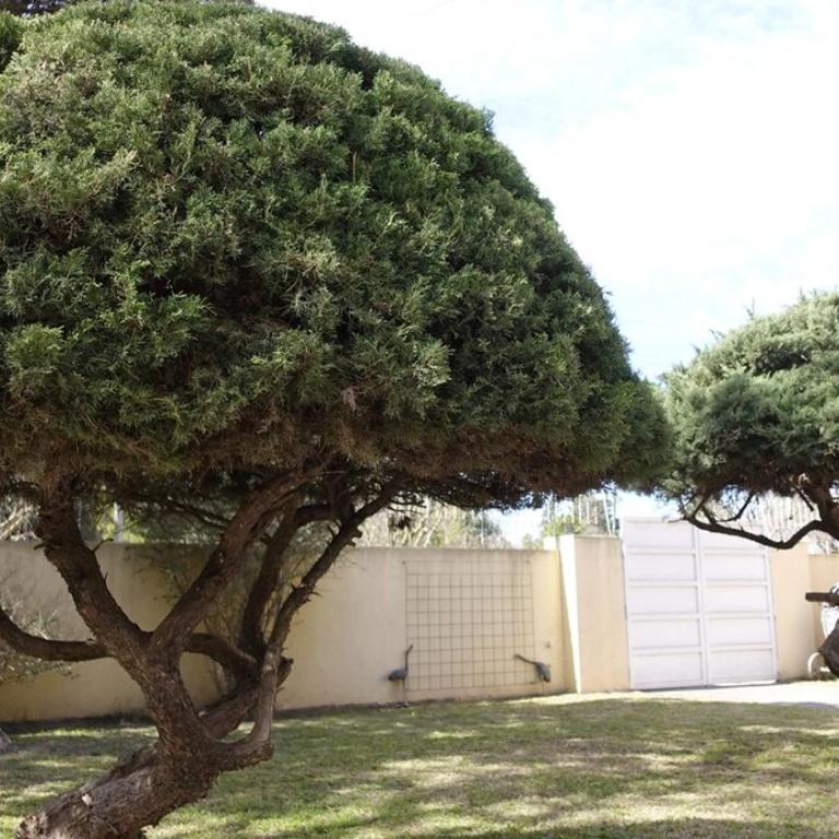 Fabulosa casa de usos multiples - Casa de 3 dormitorios - 25