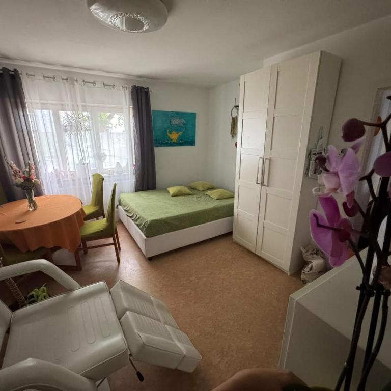 Double Room - Green Augsburg Center - Elenas Special Space - Appartamento con 1 Camera da Letto - 4
