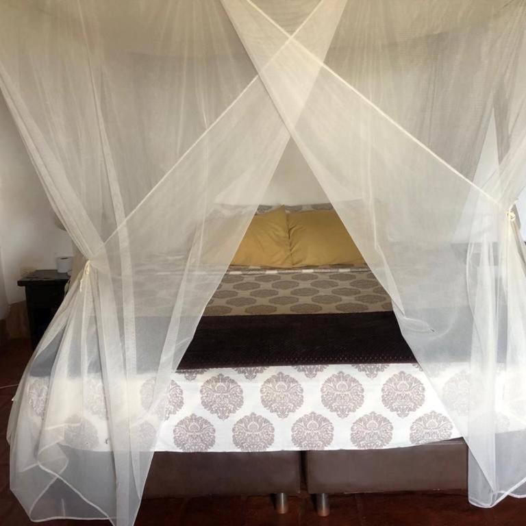 Casa upa con piscina climatizada - Casa - 32