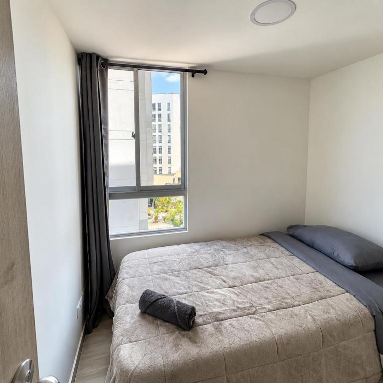Central, Nuevo, Parqueadero Gratis, Full comodidad, Apartamento en Manizales - Apartamento de 3 dormitorios - 22