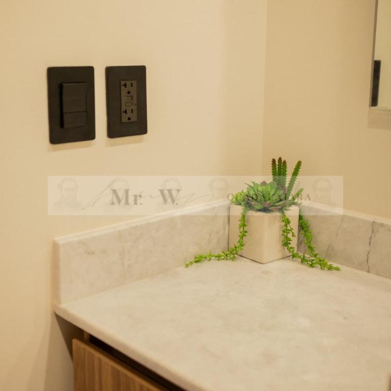 MrW Modern Apartment in the Heart of Chapultepec - Appartement 2 Chambres - 22
