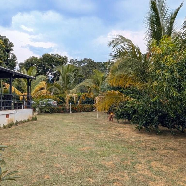 Precio de semana Finca con piscina y Desayuno - Villa - 53