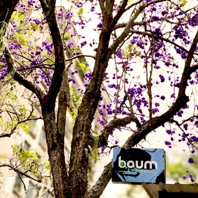 Baum Loft Santa Rita 103 - Apartamento de 1 dormitorio - 8