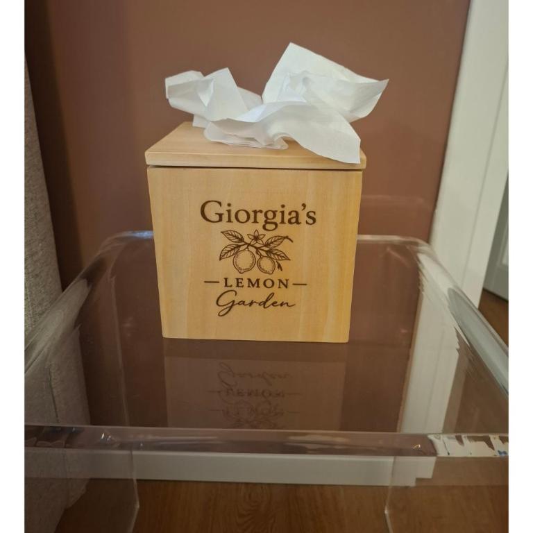 Giorgia's Lemon Garden - Apartment - Appartamento con 2 Camere da Letto e Terrazza - 55