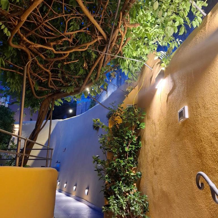 Giorgia's Lemon Garden - Apartment - Appartamento con 2 Camere da Letto e Terrazza - 48