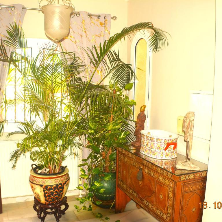 villa amapola - Villa - 28