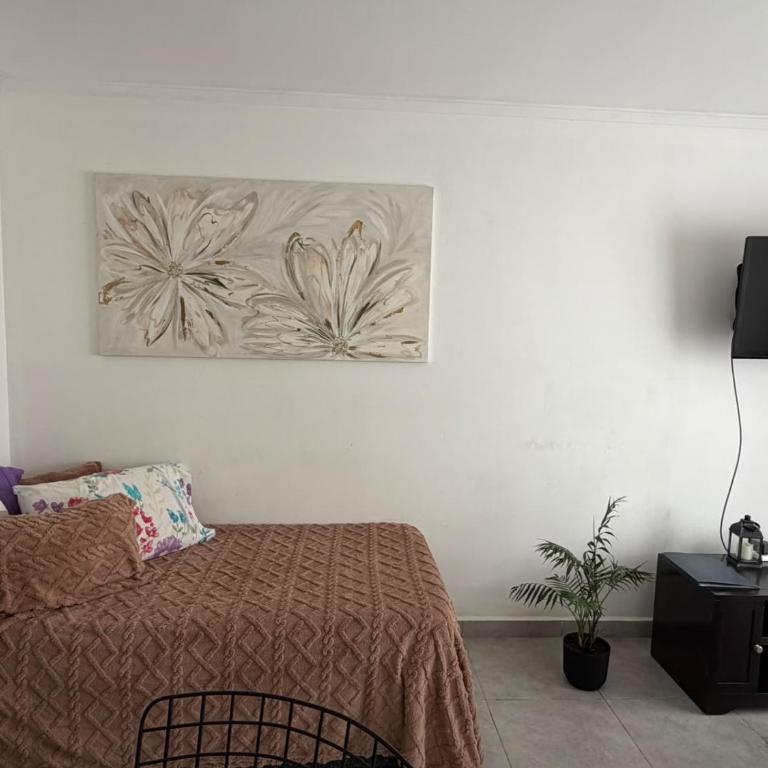 Serranias de Tandil - One-Bedroom Apartment - 39
